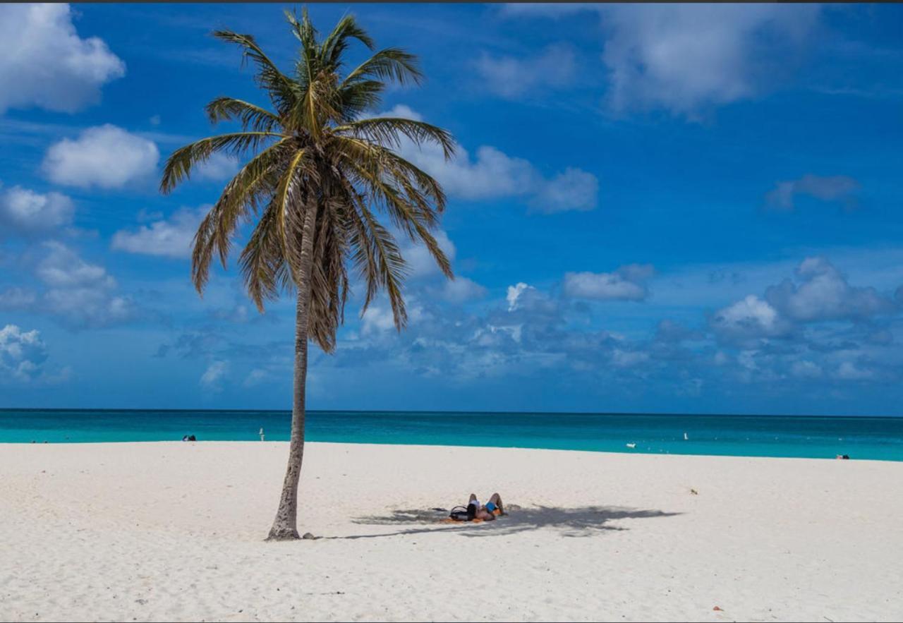 Ocean View Condo Overlooking The Caribbean Sea Oranjestad Exteriör bild